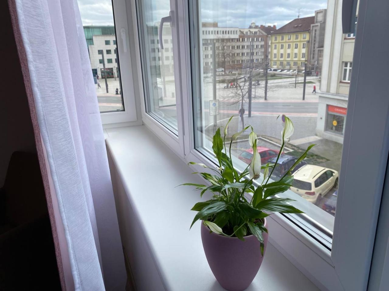 Perla Hradce 302 Apartamento Hradec Králové Exterior foto